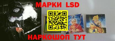 PSILOCYBIN Брянск