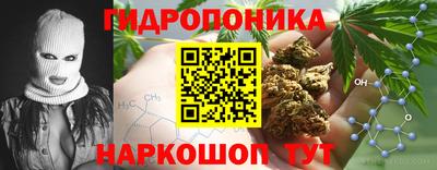 стафф Боровичи