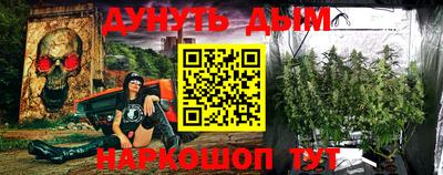 индика Братск