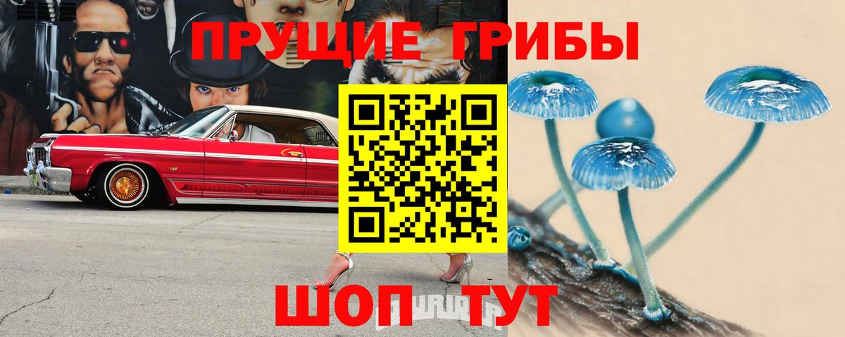 Псилоцибиновые грибы Cubensis  Вход с VPN  Галлюциногенные грибы Psilocybine cubensis  Дзержинский 